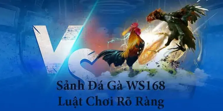Trải Nghiệm Đá Gà WS168 Tại B8B Với Mẹo Chơi Chuẩn Của Dân Cá Cược Lão Luyện