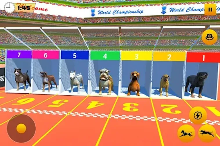 Bí Quyết Chơi Game Nhanh Đua Chó B8B Hiệu Quả Giúp Tăng Tỷ Lệ Thắng Cao