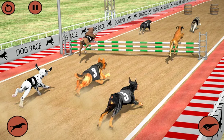 Bí Quyết Chơi Game Nhanh Đua Chó B8B Hiệu Quả Giúp Tăng Tỷ Lệ Thắng Cao